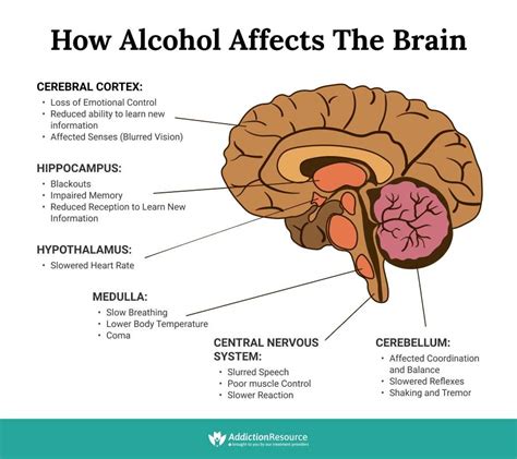 what function is the first to be affected by alcohol