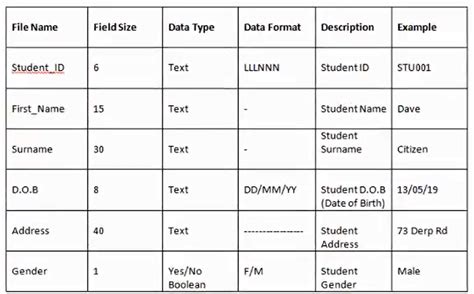 what functionalities does a data dictionary typically include