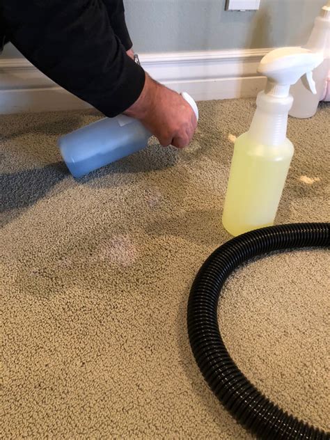 home.furnitureanddecorny.com:what gets bleach out of carpet