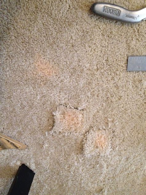 what gets bleach out of carpet