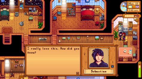what gifts does sebastian like stardew valley