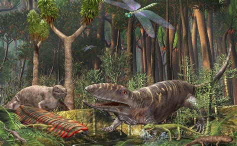 what happened in the carboniferous period