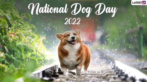 what happened to dog day