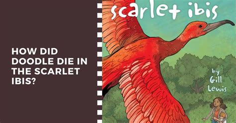 Scarlet Ibis in Vermillion Hue WIP. scarlet ibis vermillion hue 