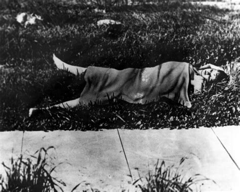 what happened to the black dahlia