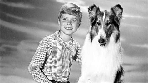 what happened to the boy from lassie