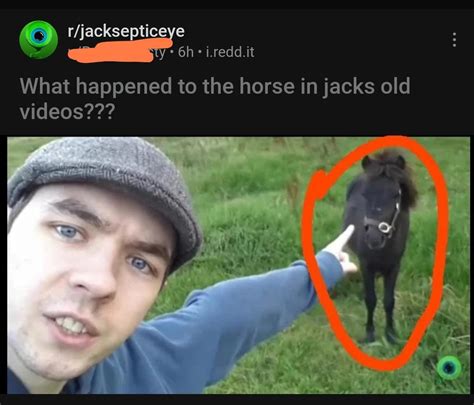 what happened to the horse