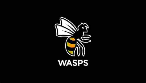 what happened to wasps rugby
