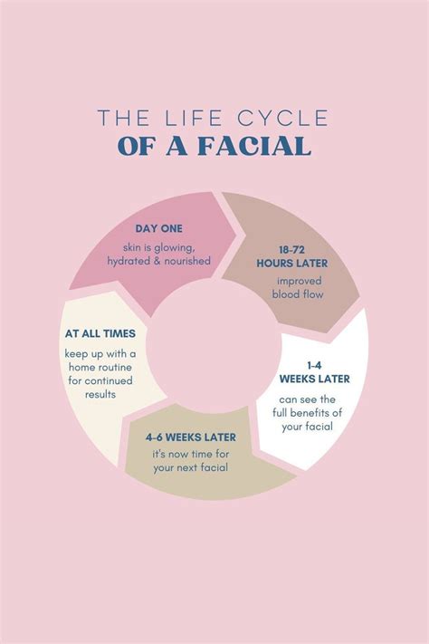 what happens during the decrease phase of a facial