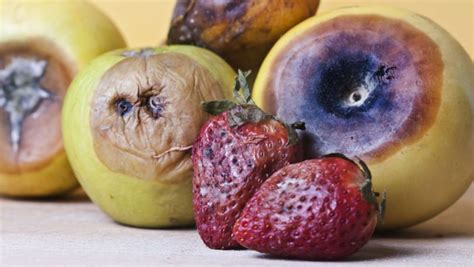 what happens if you eat rotten fruit