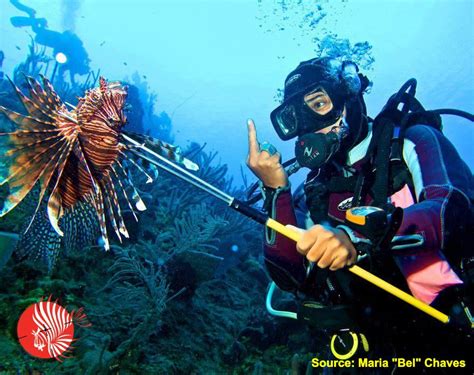 what happens if you touch a lionfish