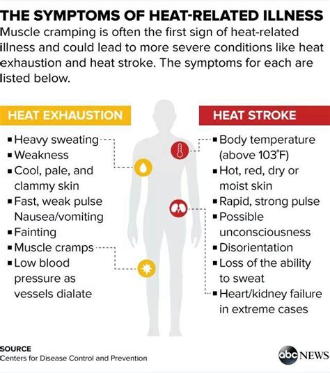 what happens if your body overheats