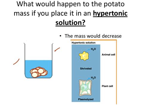 What Happens To A Potato In A Hypertonic Solution