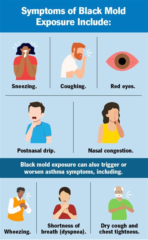 What Harm Can Mold Cause