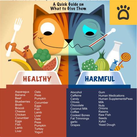 what human foods can cats eat and not eat