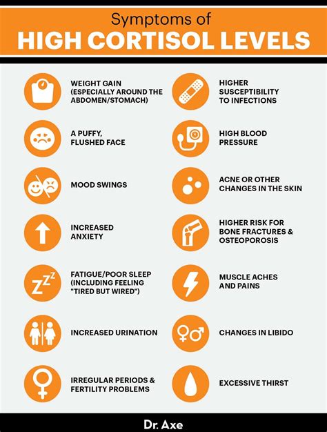 What Improves Cortisol Levels