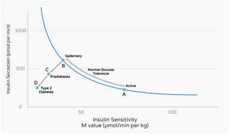 What Increases Insulin Sensitivity