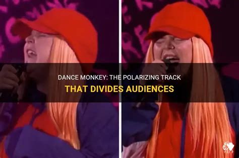 What Instruments Does Dance Monkey Use