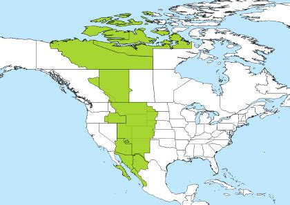 what is 12 utc to mst