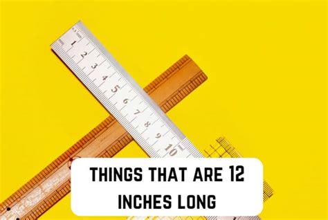 What Is A 12 Inch