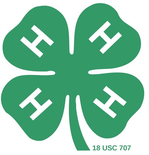 what is a 4-h member