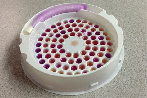 What Is A Bac T Sample