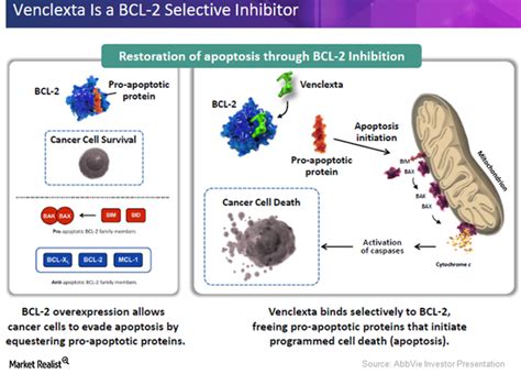 what is a bcl 2 inhibitor