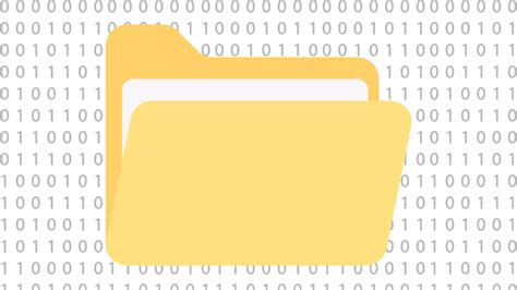 What Is A Binary Directory