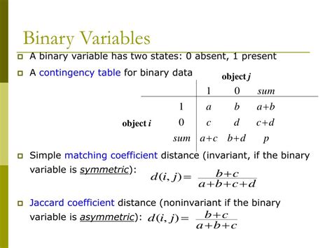 what is a binary variable in statistics