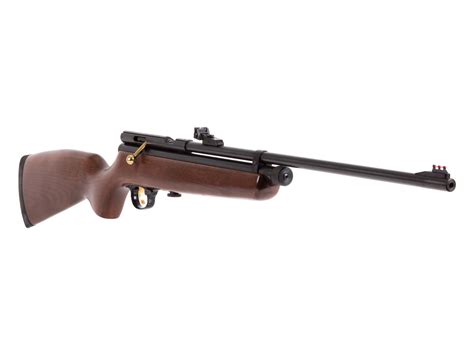 What Is A Bolt Action Air Rifle
