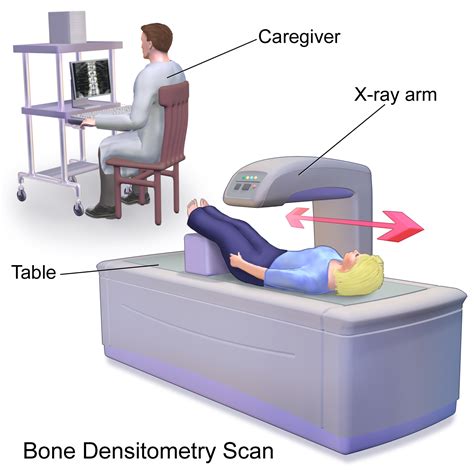 What Is A Bone Densitometry Test