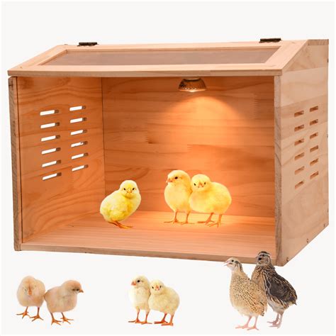 What Is A Brooder For Chicks