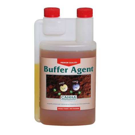 What Is A Buffer Agent