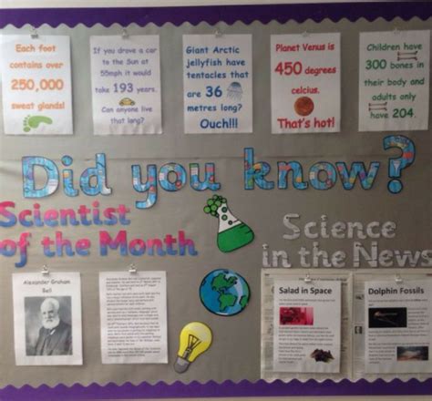 What Is A Bulletin In Science