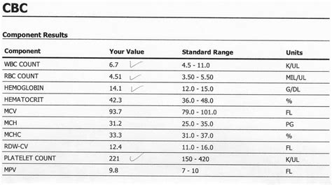 Understanding What is a CBC Test: Blood Analysis Explained