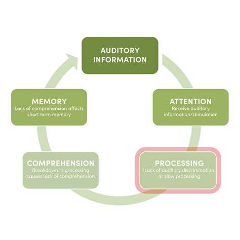 What Is A Central Auditory Processing Evaluation