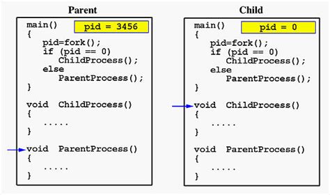 what is a child process in c