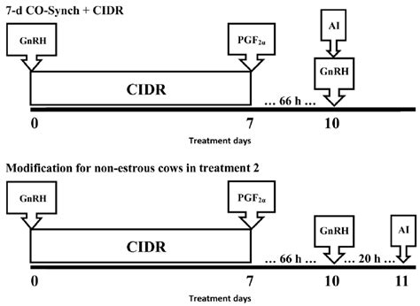 7 Inserting a CIDR YouTube