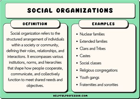 what is a civic or social organization