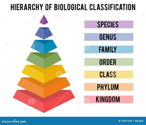 What Is A Classification System In Science