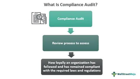 What Is A Compliance Audit Example