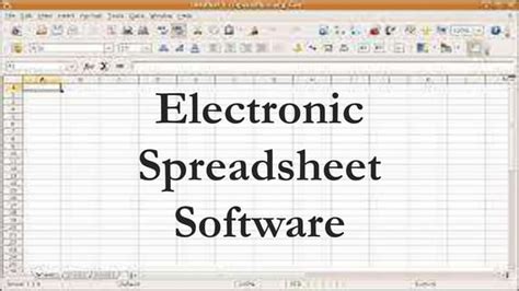 what is a computer program used to create electronic spreadsheets