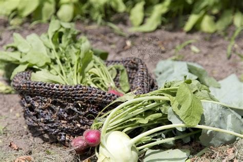 What Is A Convertible Vegetable