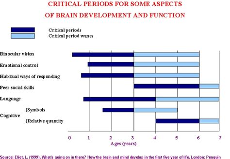 what is a critical period in brain development