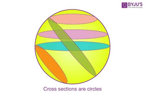What Is A Cross Section Science