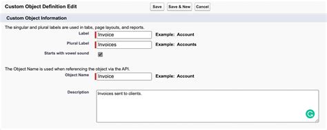 What Is A Custom Object