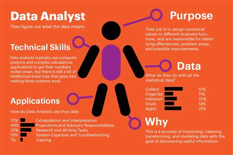 what is a data analyst and what do they do