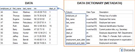 what is a data dictionary and why is it important