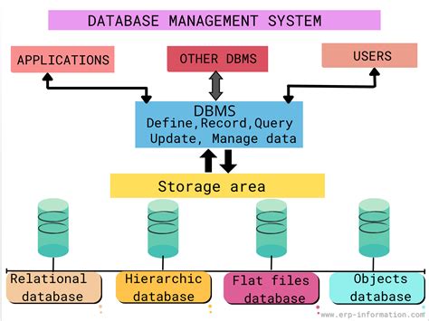 what is a database system with example