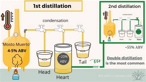 What Is A Diffuser In Tequila
